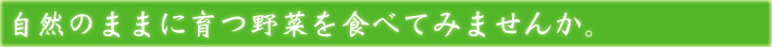 自然のままに育つ野菜を食べてみませんか。